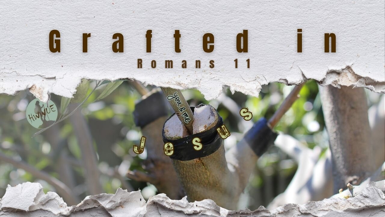 Grafted In - Romans 11