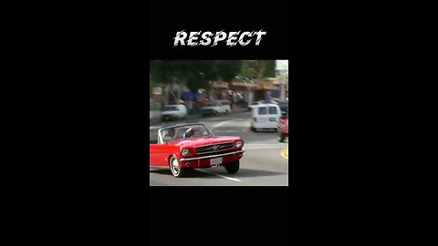 funny videos