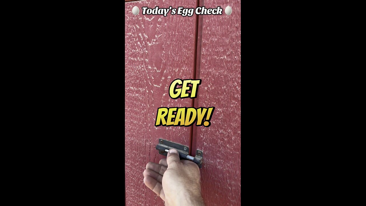 🥚 Today’s Egg Check! 🥚