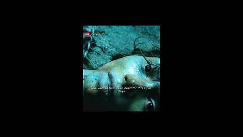 Title: Cat Women 🐈 💥