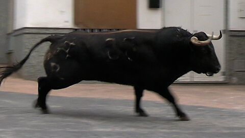 2025 08 23 TALES ÁNGEL GÓMEZ NÚÑEZ Nº33