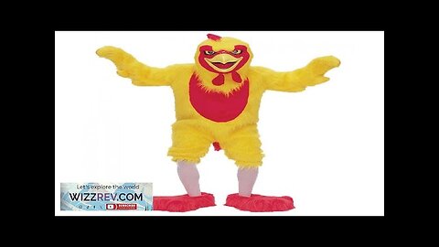 Chicken Mascot Costume for Adults Review