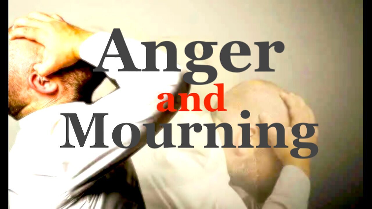 The Jesuit Vatican Shadow Empire 408 - Anger And Mourning