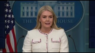 Karoline Leavitt: Democrats Are Shutting Down Air Travel