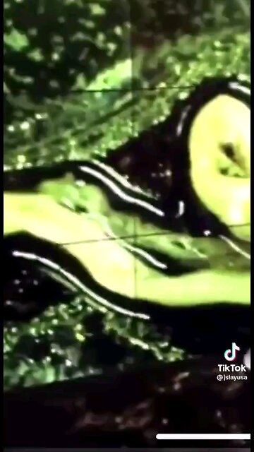 Vaccines Creating Engineered Bio Structures