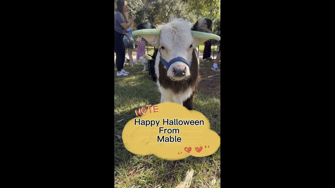 Happy Halloween from Mable.