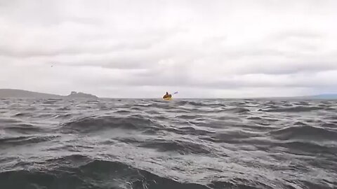 Video captures Humpback whale briefly swallowing kayaker in Chile