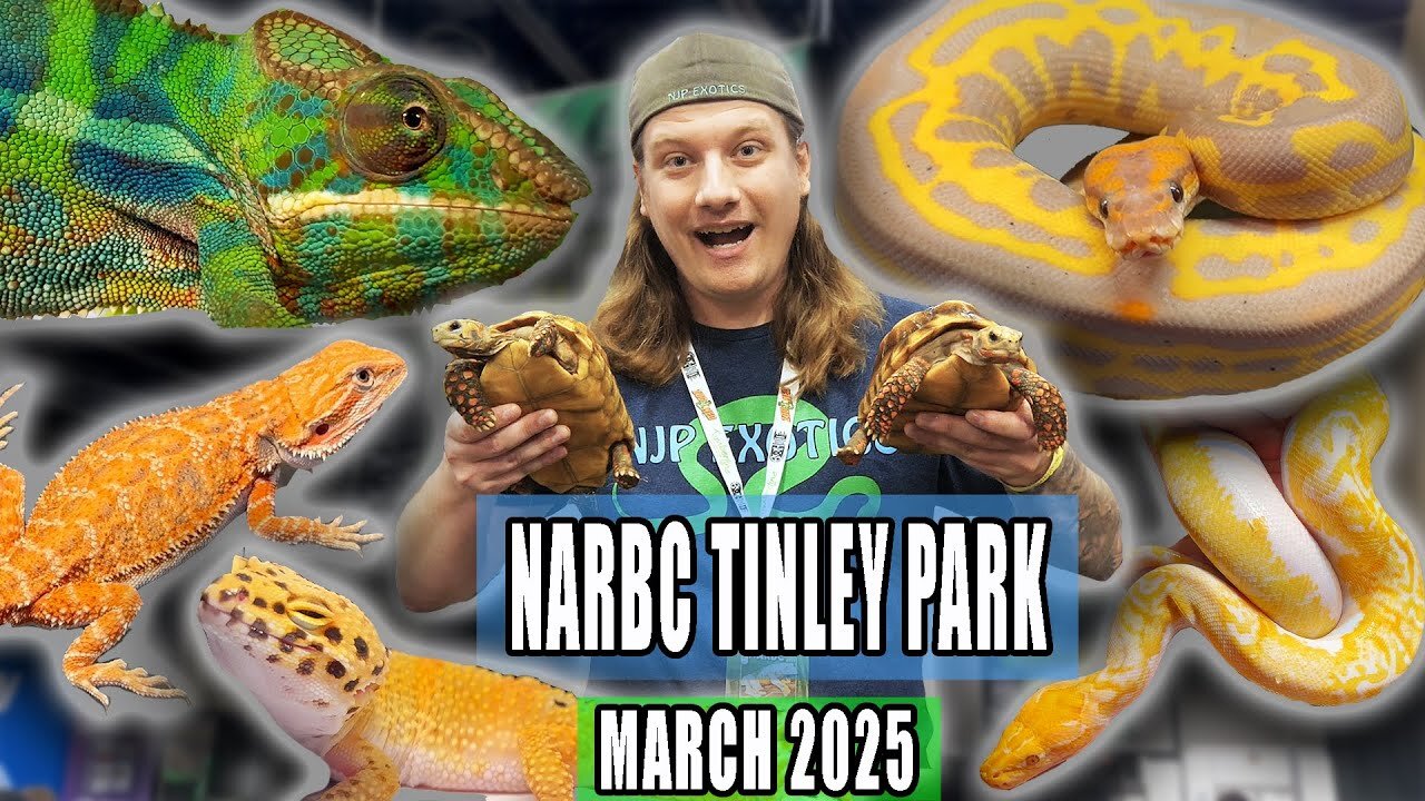 Tinley Park Reptile Expo March 2025