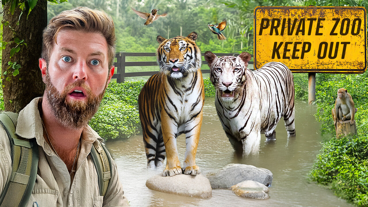 Private Tour of an Indian Billionaire’s Secret Wildlife Rescue Center