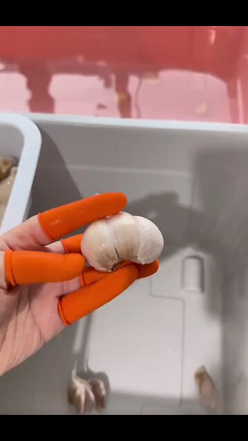 Girl How to Cutting Vegetable