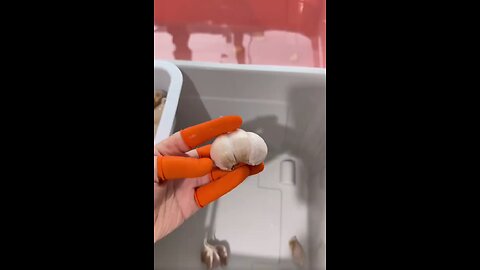 Girl How to Cutting Vegetable