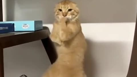 😂😂