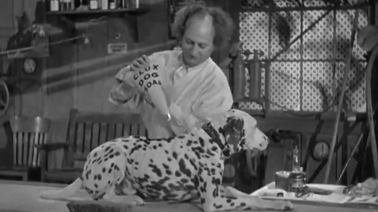 034 - Mutts To You (with Bess Flowers)