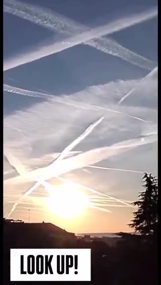 Chaque jour des milliers de videos sont postées sur le net comme ici en Autriche.