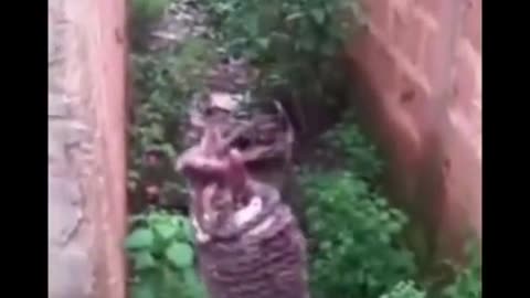 👻😱 This Ghostly Encounter Will Leave You Speechless! GhostlyToksa | TheHauntingHour