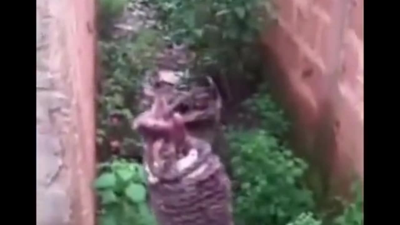 👻😱 This Ghostly Encounter Will Leave You Speechless! GhostlyToksa | TheHauntingHour