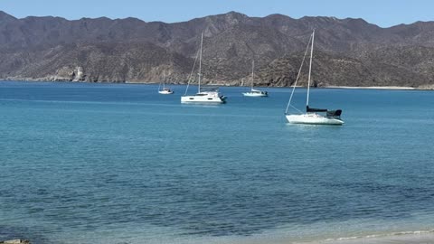 Osteoarthritis Causes, Treatments and Supplements