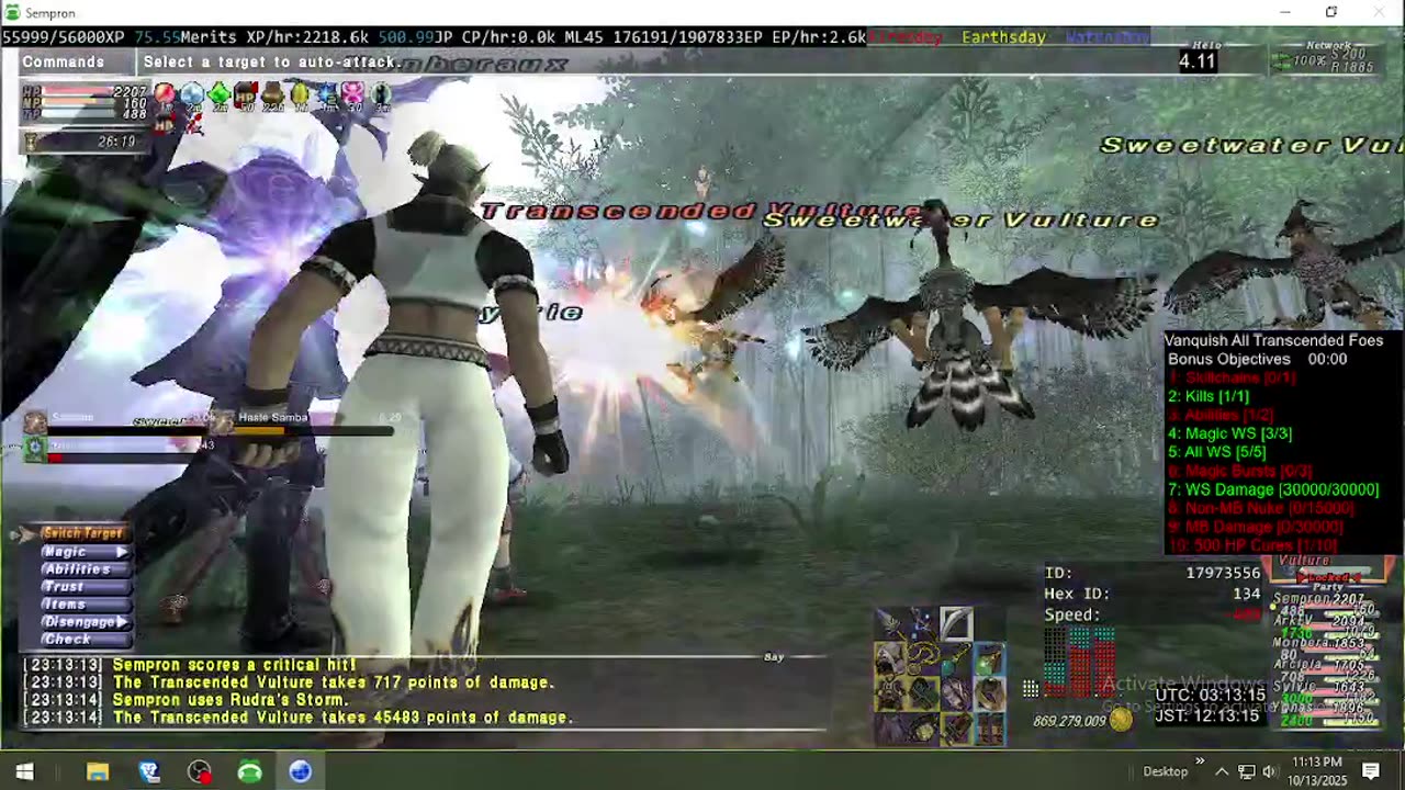 Playing Final Fantasy XI Online