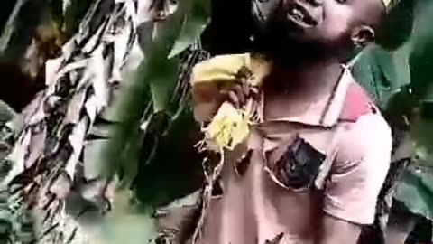 Total damnation of zoological republic #FreeNnamdiKanuNow