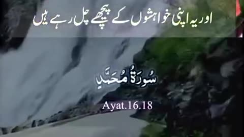 Beshak 💯♥️✨🕊️