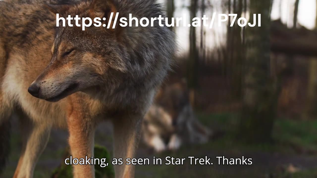 The Original Video Talking About This Was Removed