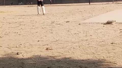 How to play cricket
