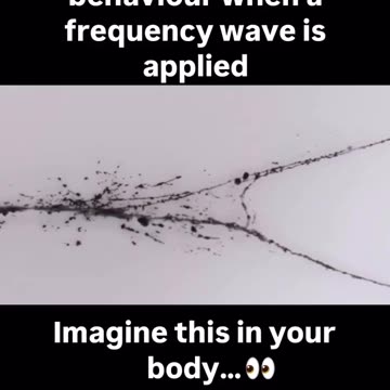 Trump put 5G in your neighborhood