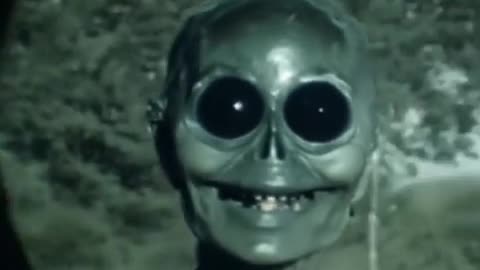😈👹 They Look Friendly, Get Closer! | TheHauntingHour