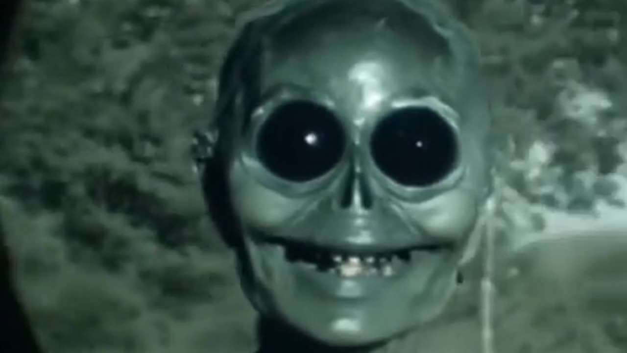 😈👹 They Look Friendly, Get Closer! | TheHauntingHour