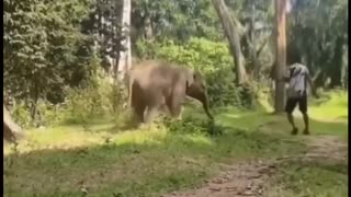 😂 You Won't Believe What Happens Next! | FunFM