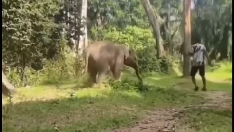 😂 You Won't Believe What Happens Next! | FunFM