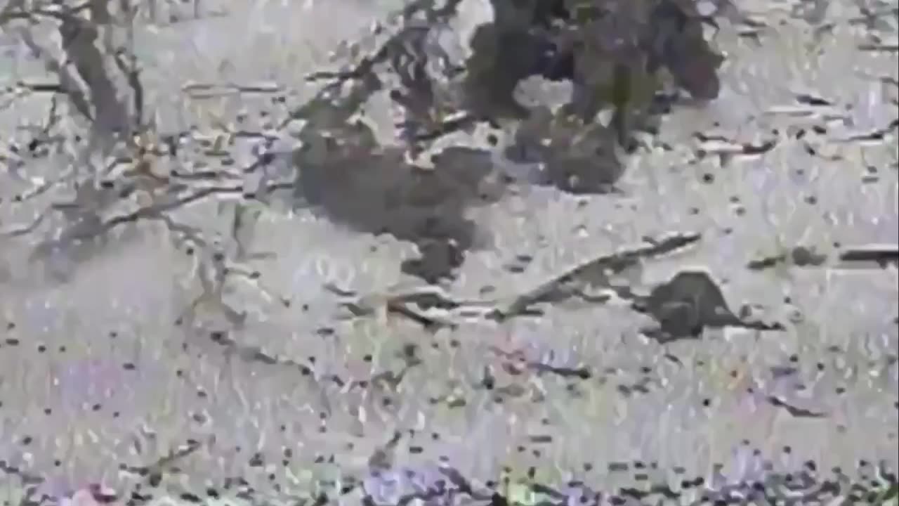 Russian Soldiers Making it Easy