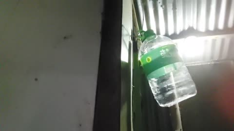 Wednesday, Thursday 15th-16th October 2025, DWG Devotional Daily