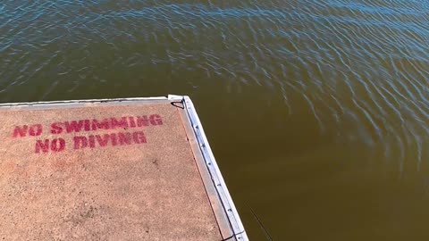 Lake McMurtry Crappie FIshing