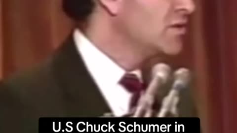 Chuck Schumer in the 1980s
