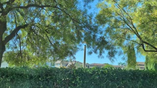 Personal Responsibility