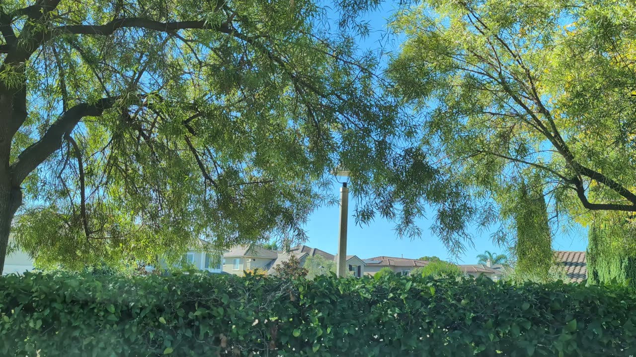 Personal Responsibility