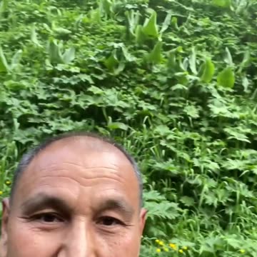 I love my Kazakhstan _3