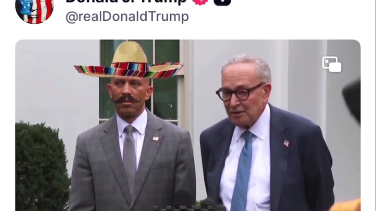 A few short videos of the day. OMGAWD 🤣🤣🤣