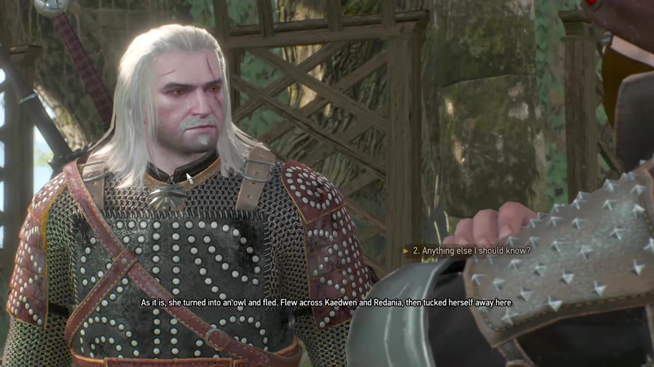 The WItcher 36