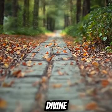 The Word became flesh — texts that point to divine action!