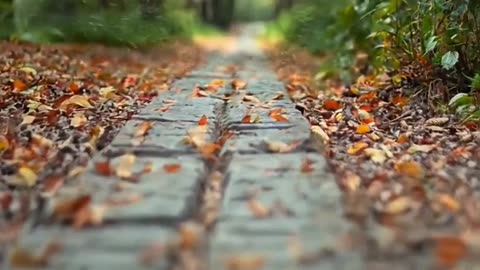 The Word became flesh — texts that point to divine action!