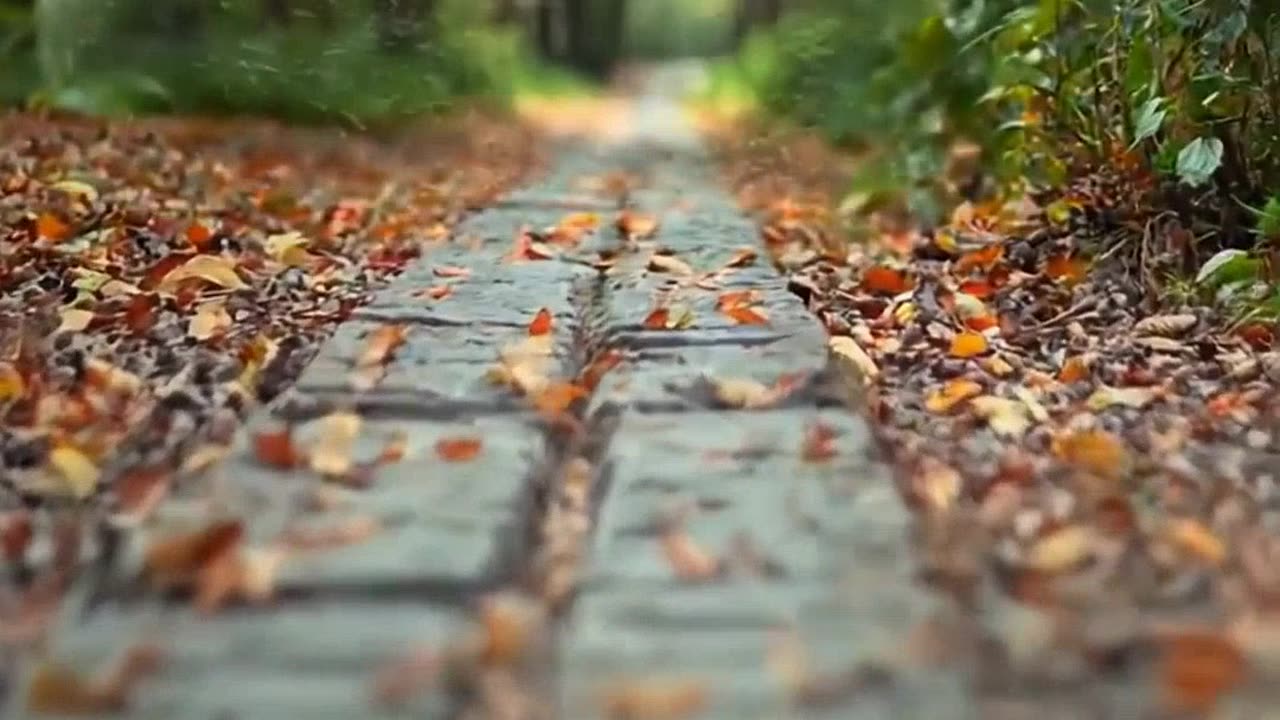 The Word became flesh — texts that point to divine action!