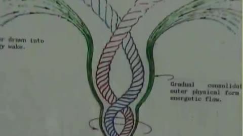 The Extraordinary Nature Of Water: Based On The Theories Of Viktor Schauberger