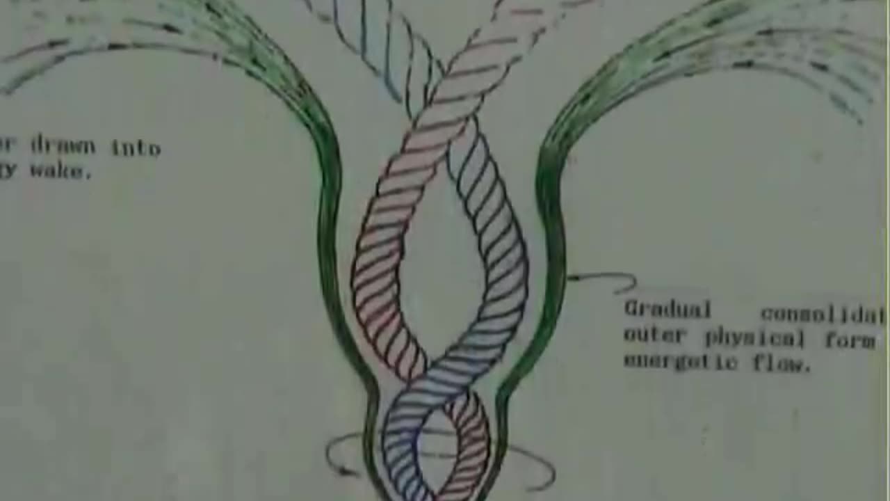 The Extraordinary Nature Of Water: Based On The Theories Of Viktor Schauberger