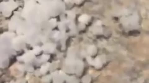 They got some really weird Styrofoam like snow in Pennsylvania...don't eat it