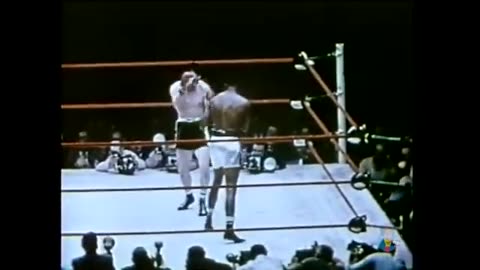 Sugar Ray Robinson, Pound of Pound