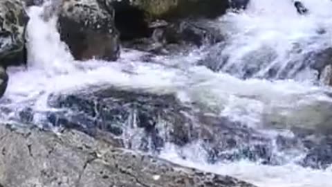 😊 252 NO ESTÁS ESPERANDO UN MILAGRO… 😊