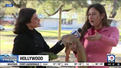 Meet Jessica Kilgore the South Florida iguana slaying queen!!!!