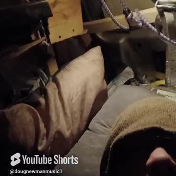 My Thingamagigger Song